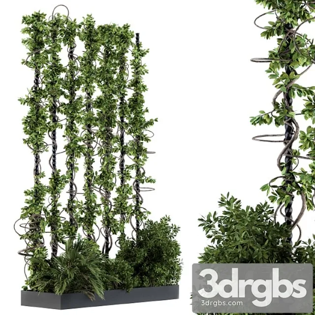 Garden set bush and ivy – garden set 09 Garden set bush and ivy – garden set 09