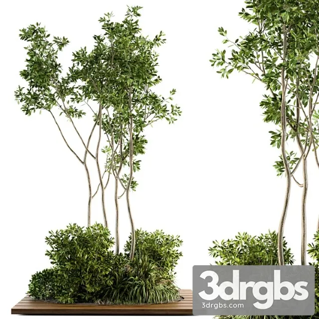 Garden Set Bush And Tree Garden Set 04 3D Model Download