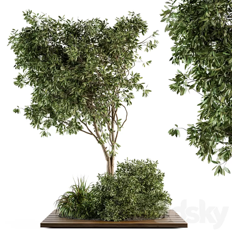 Garden set bush and Tree – Garden Set 05 3D Model