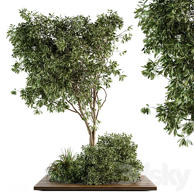 Garden set bush and Tree – Garden Set 05 3DModel