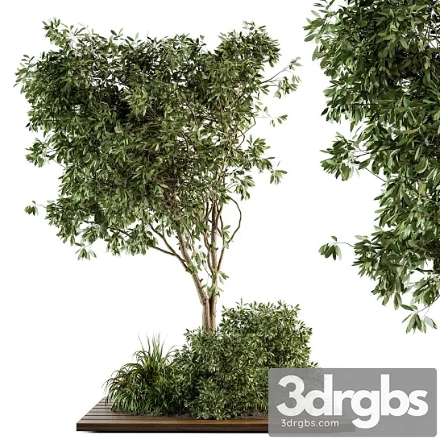 Garden set bush and tree – garden set 05 Garden set bush and tree – garden set 05