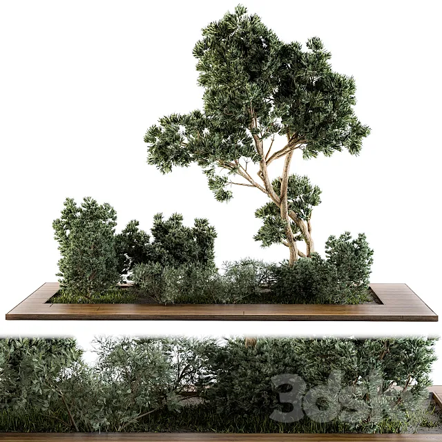 Garden set bush and Tree – Garden Set 06 3D Model