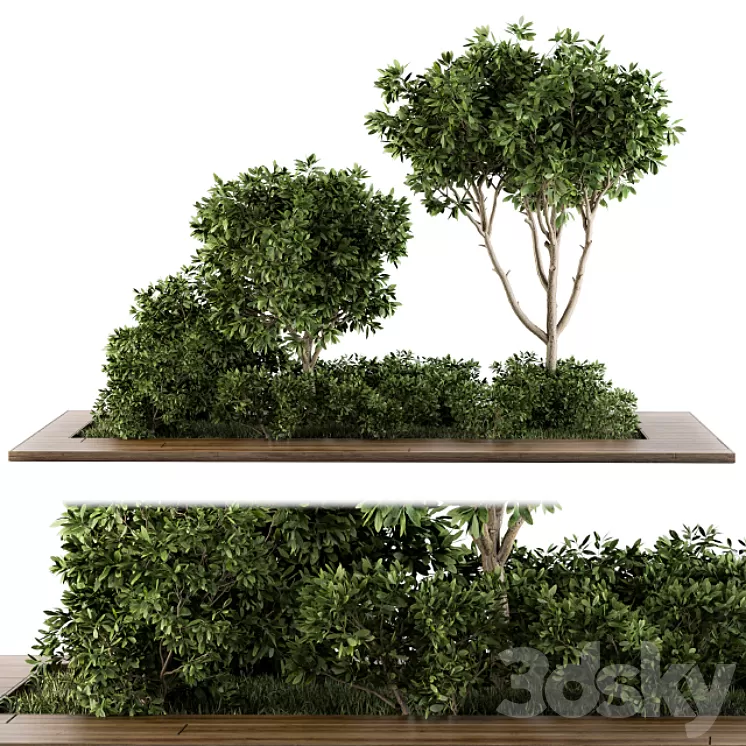 Garden set bush and Tree – Garden Set 07 3D Model