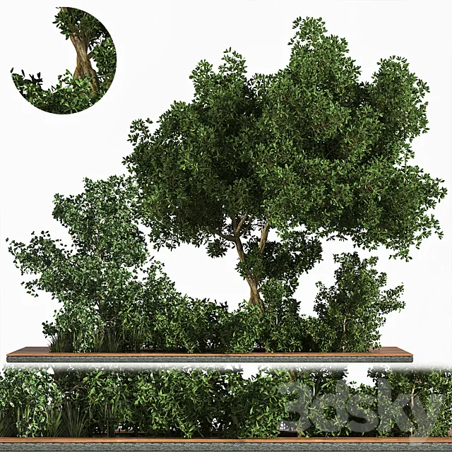 Garden Set Grass Tree 3D Model