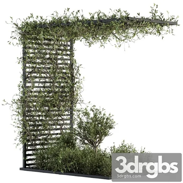 Garden set ivy and bush – garden set 13 Garden set ivy and bush – garden set 13