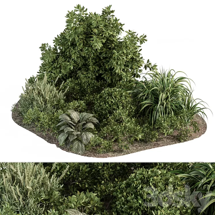 Garden set ivy and Bush – Garden Set 20 3D Model