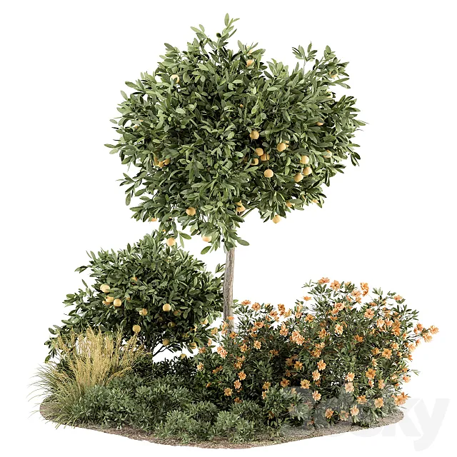 Garden set Lemon tree and Bush – Garden Set 26 3DModel Garden set Lemon tree and Bush – Garden Set 26 3DModel