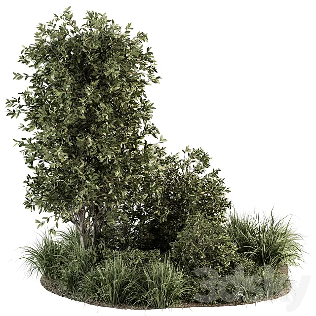 Garden Set Plants – Outdoor Plants Set 307 3D Model Garden Set Plants – Outdoor Plants Set 307 3D Model