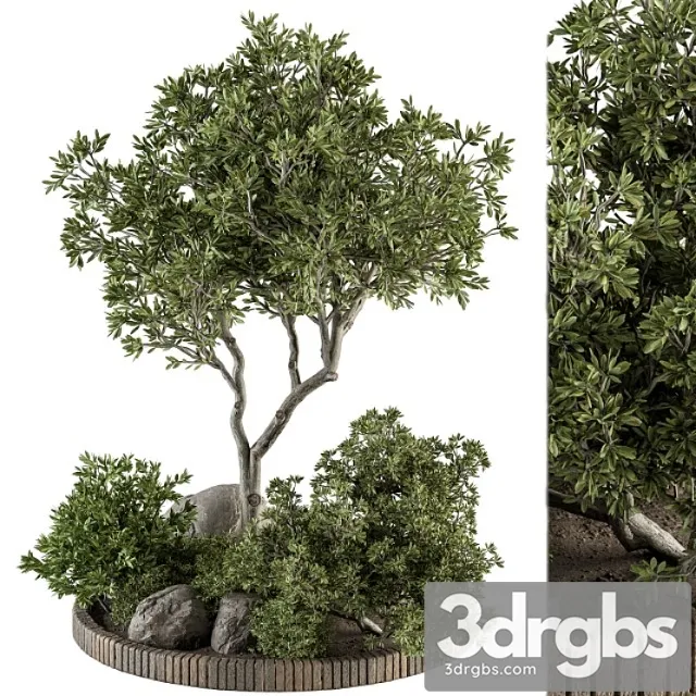 Garden set plants – outdoor plants set 333 Garden set plants – outdoor plants set 333