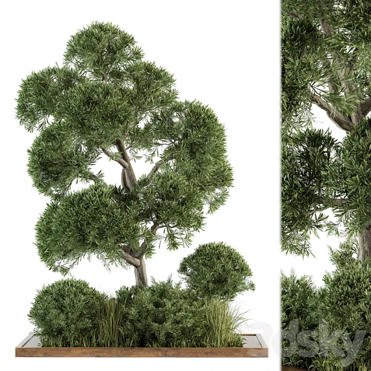 Garden set Tree and Bush – Garden Set 16 3D Model Garden set Tree and Bush – Garden Set 16 3D Model
