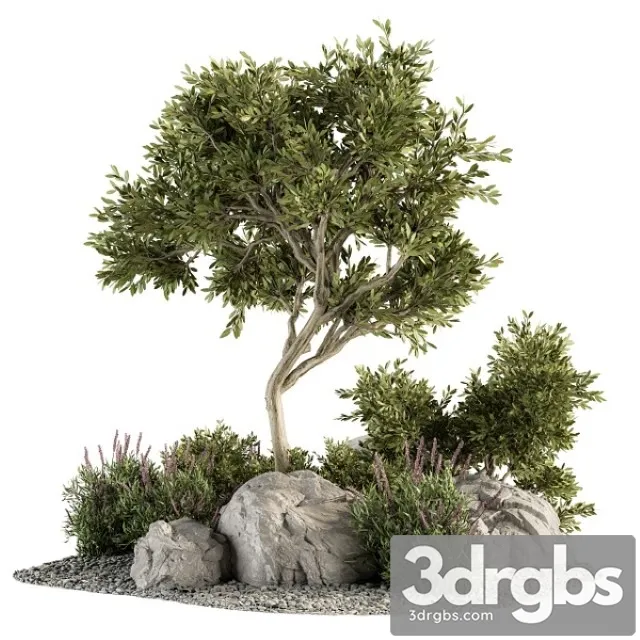 Garden Set Tree and Bush Garden Set 18 3D Model Download