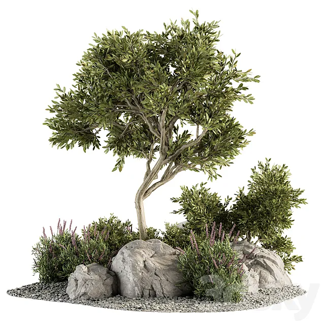 Garden set Tree and Bush – Garden Set 18 3DModel Garden set Tree and Bush – Garden Set 18 3DModel