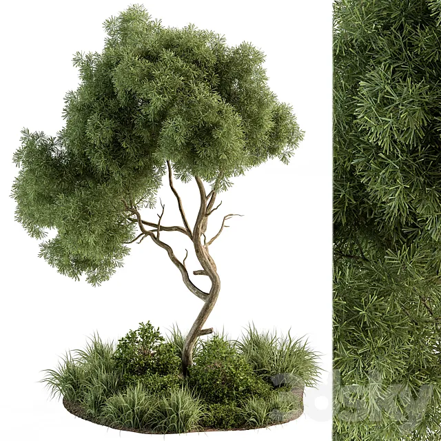 Garden Set Tree and Plants – Outdoor Plants Set 399 3DModel Garden Set Tree and Plants – Outdoor Plants Set 399 3DModel