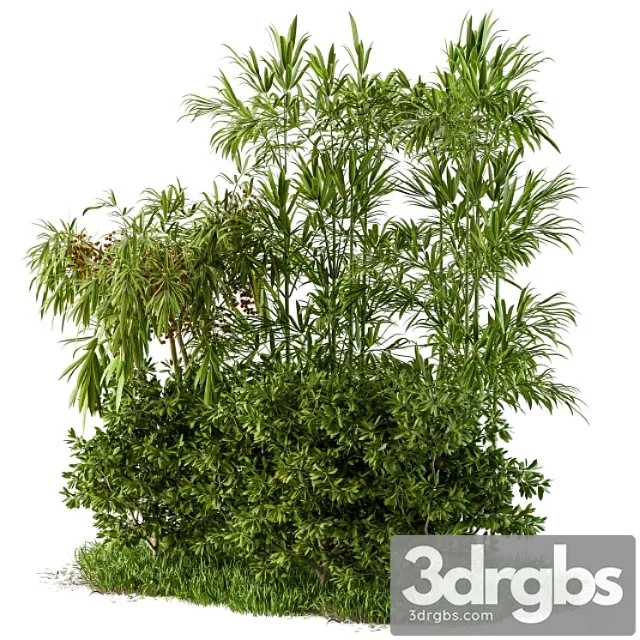 Garden set tropical and bush Garden set tropical and bush