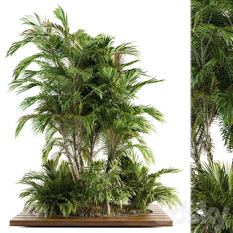 Garden set Tropical bush and Tree – Garden Set 05 3D Model