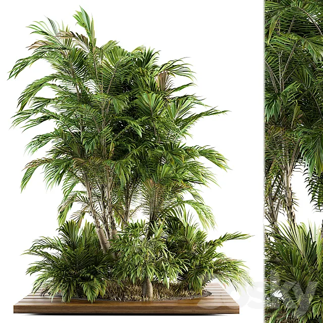 Garden set Tropical bush and Tree – Garden Set 05 3DModel