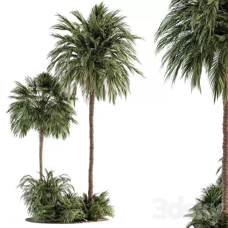 Garden set Tropical Plants – Garden Set 28 3D Model Free Download