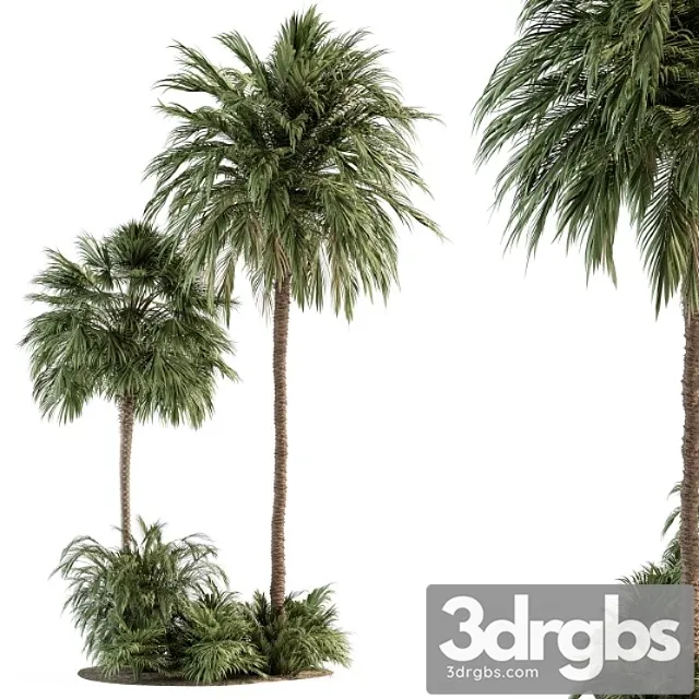 Garden set tropical plants – garden set 28 Garden set tropical plants – garden set 28