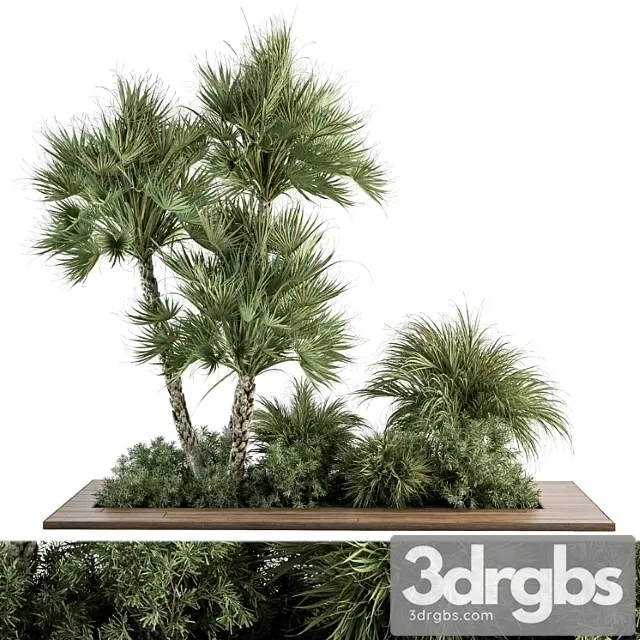 Garden Set Tropical Plants Outdoor Plants Set 369 3D Model Download