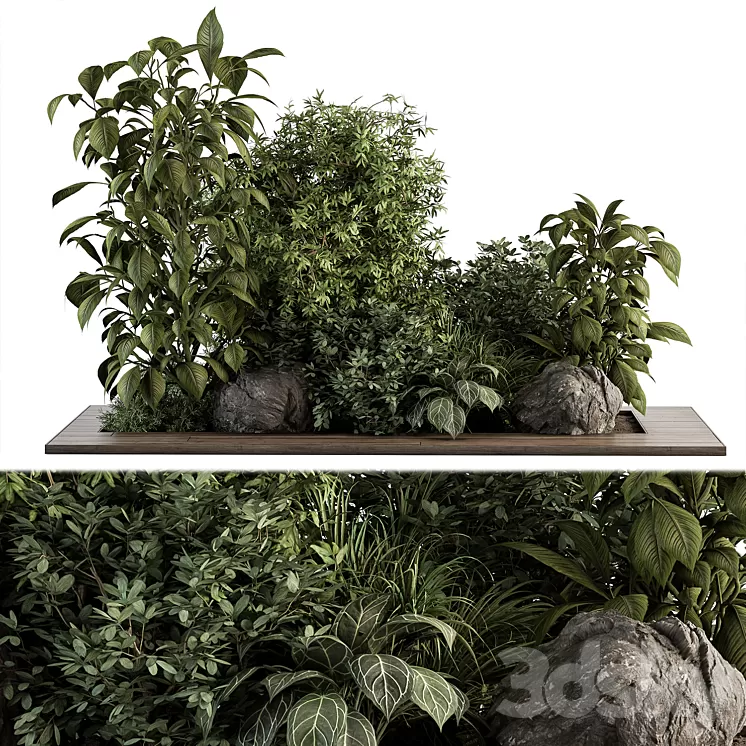 Garden Set Tropical Plants – Outdoor Plants Set 381 3D Model Garden Set Tropical Plants – Outdoor Plants Set 381 3D Model