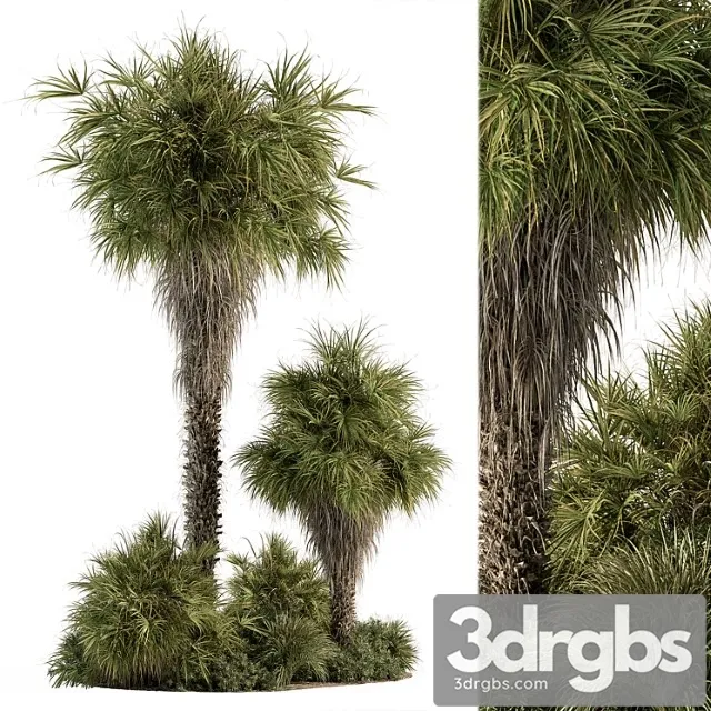Garden set tropical plants tall palm tree – outdoor plants set 428 Garden set tropical plants tall palm tree – outdoor plants set 428