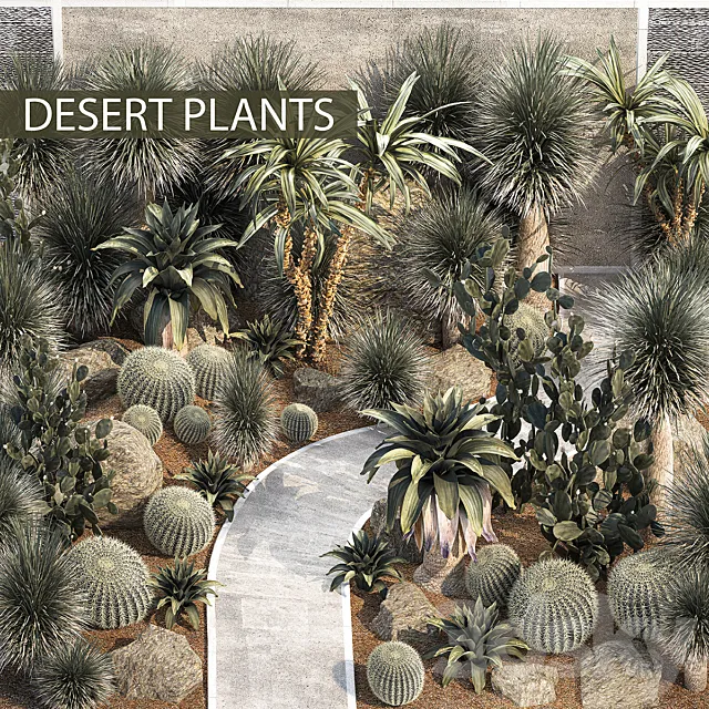Garden with desert plants cacti Yucca and Bromeliad Dracaena and Opuntia garden cactus. Plant collection 1214 3D Model