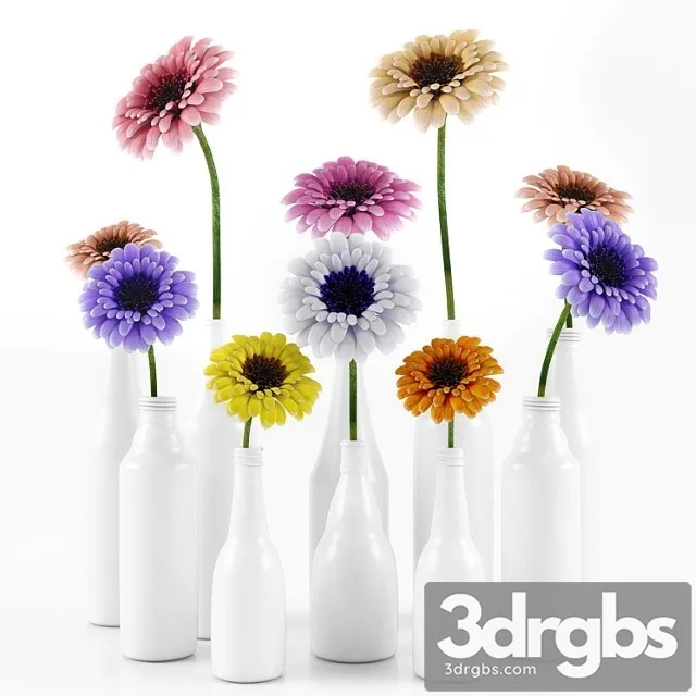 Gerbara Flower 3D Model Download Gerbara Flower 3D Model Download