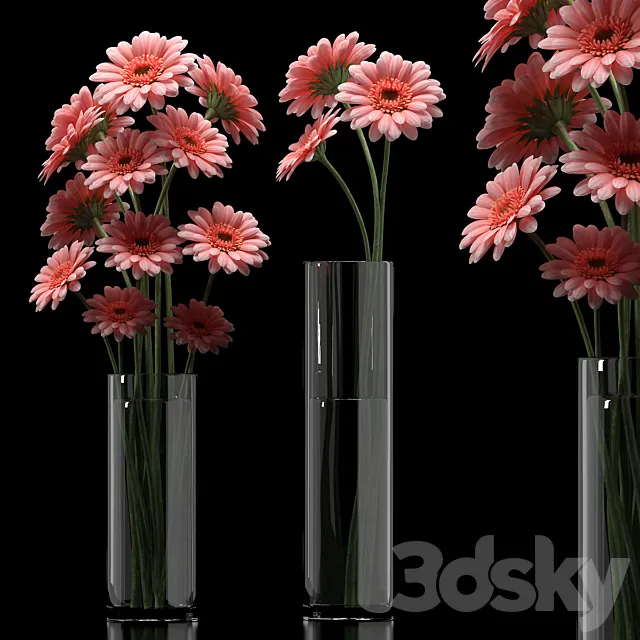 GERBERA 5 3D Model