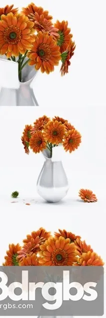 Gerbera Flower 1 3D Model Download Gerbera Flower 1 3D Model Download