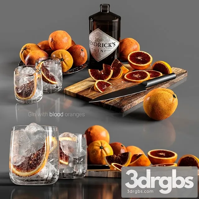 Gin with blood oranges 3D Model Download