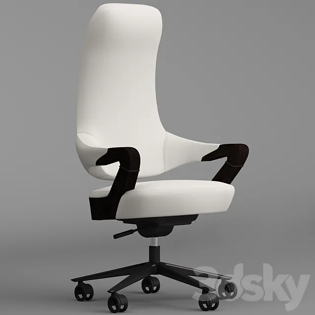 Giorgetti spinger office armchair 3DModel
