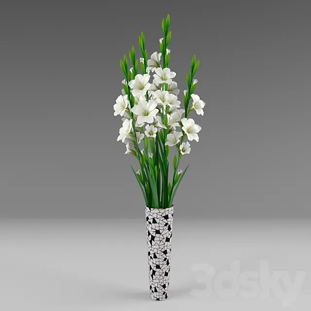 Gladiolus 3D Model Gladiolus 3D Model