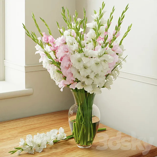 Gladiolus 3DModel Gladiolus 3DModel