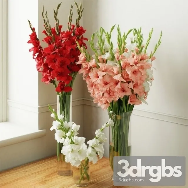 Gladiolus Bouquet 2 3D Model Download