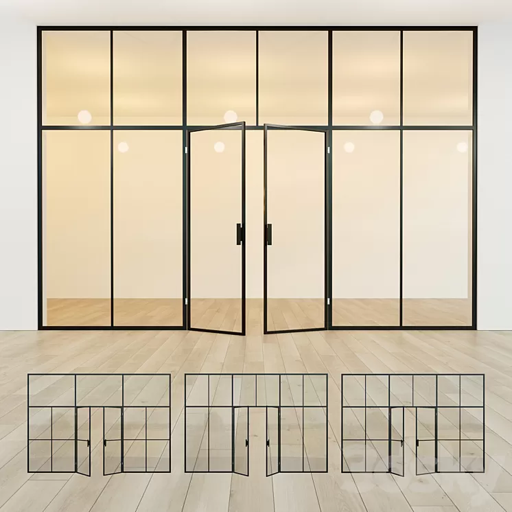 Glass partition. Door. 41 3D Model