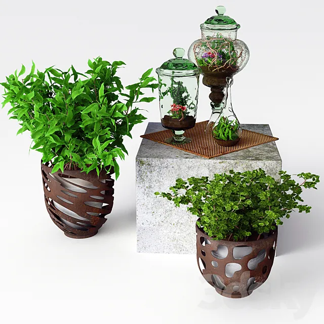 Glass terrariums with flowers and loach 3D Model Glass terrariums with flowers and loach 3D Model
