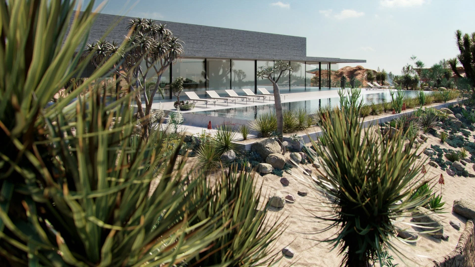 Globe Plants – Bundle 11 – Desert Garden