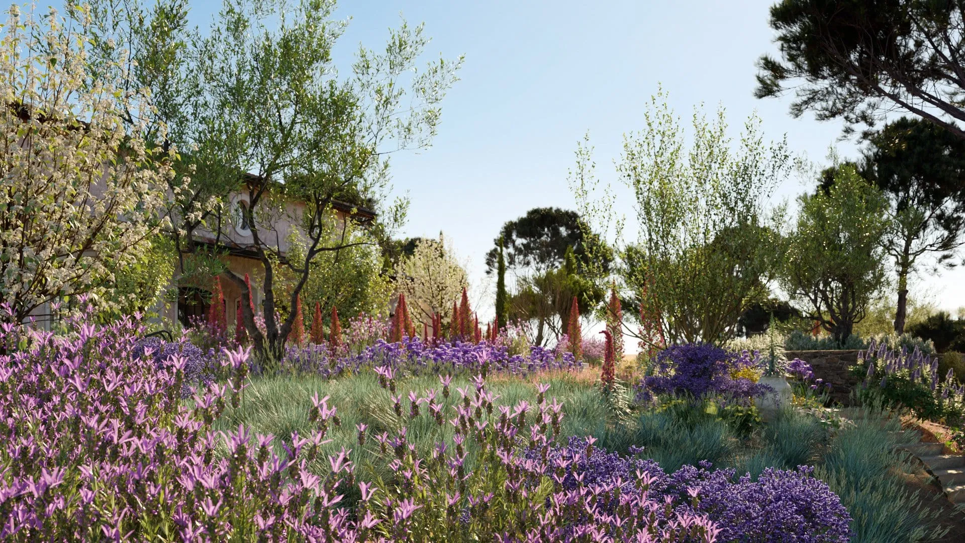 Globe Plants – Bundle 16 – Mediterranean Plants