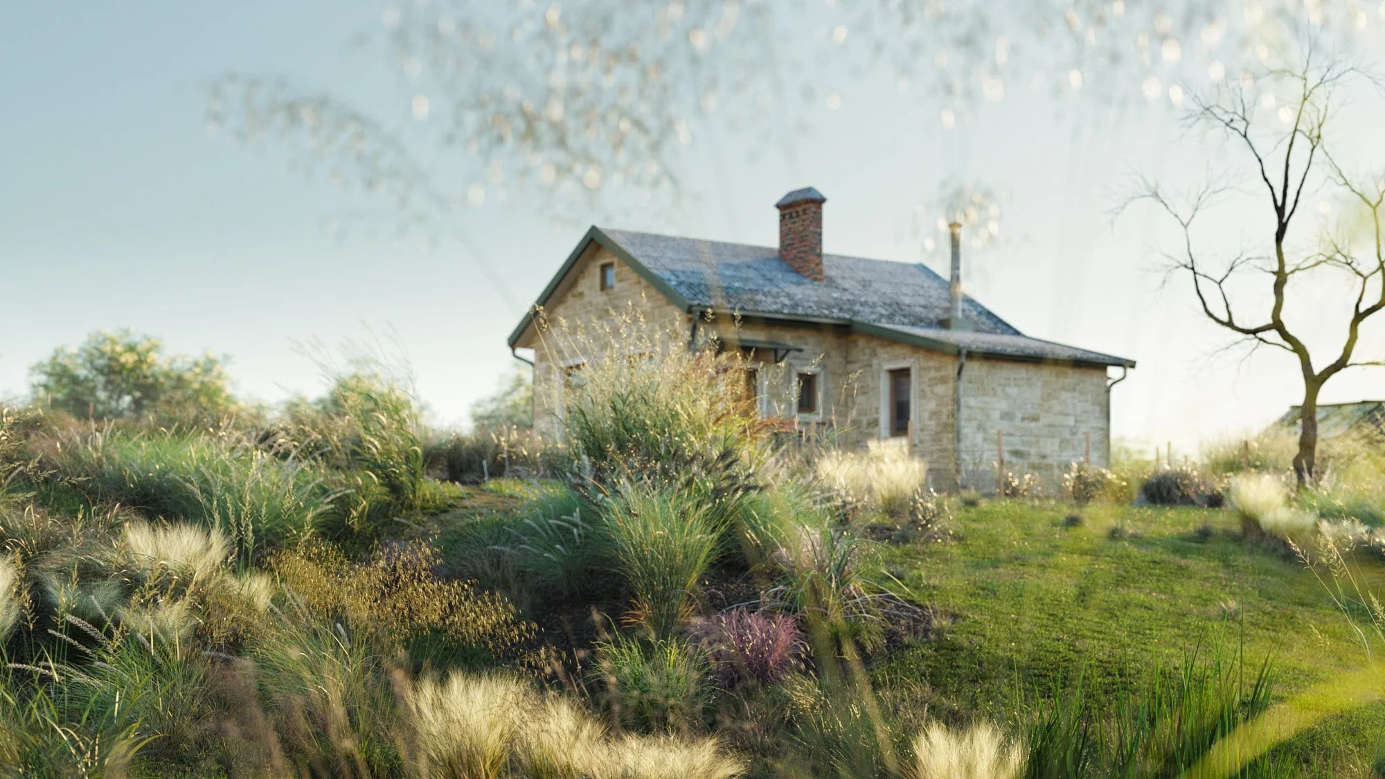 Globe Plants – Bundle 18 – Ornamental Grasses