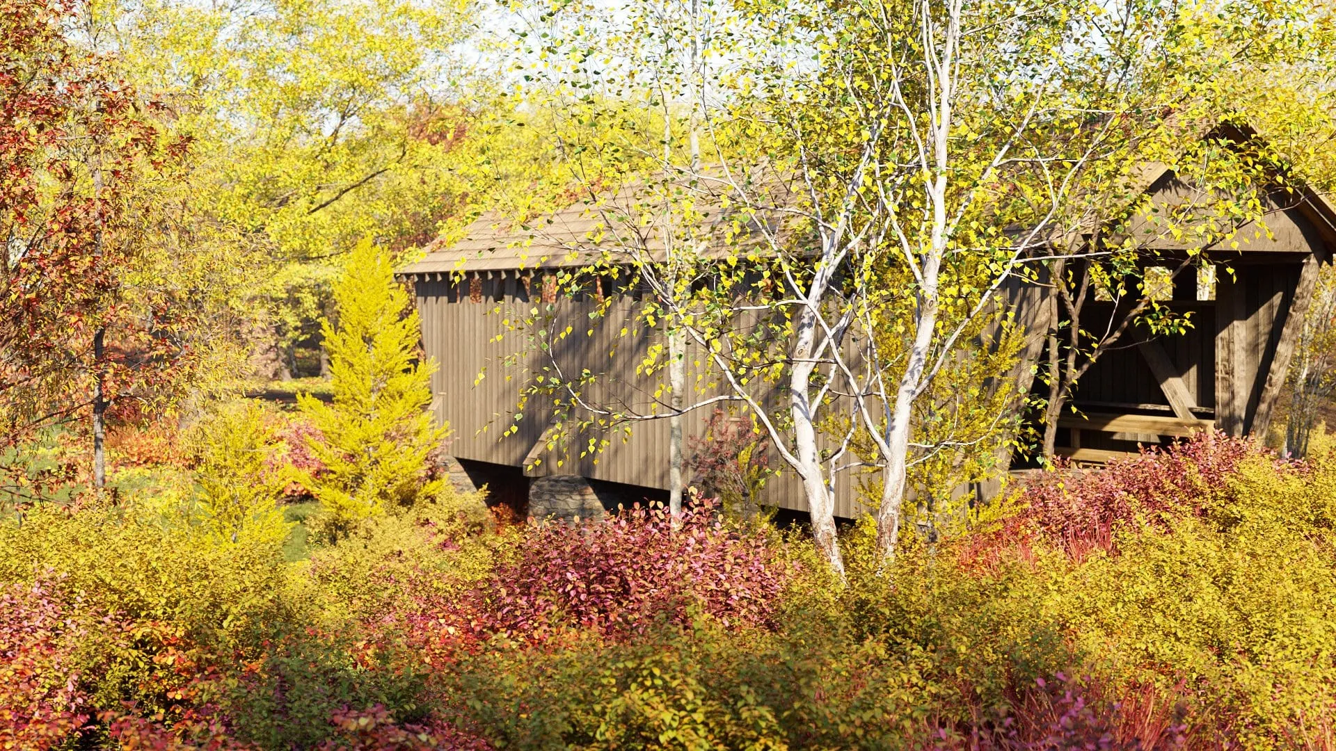 Globe Plants – Bundle 20 – Autumn Plants