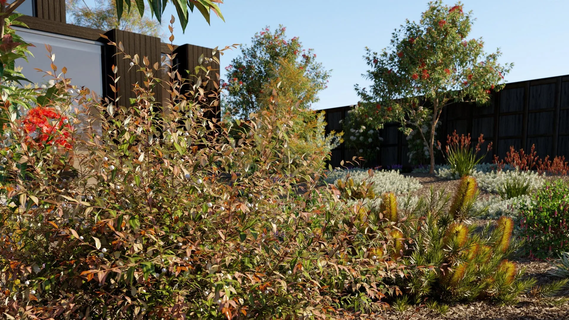 Globe Plants – Bundle 22 – Australian Home & Garden 02