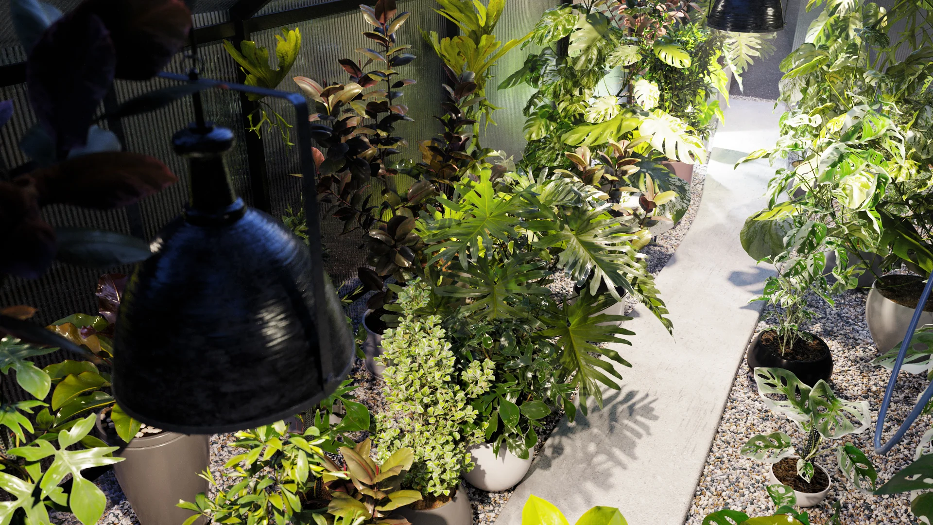 Globe Plants – Bundle 30 – Interior Pot Plants