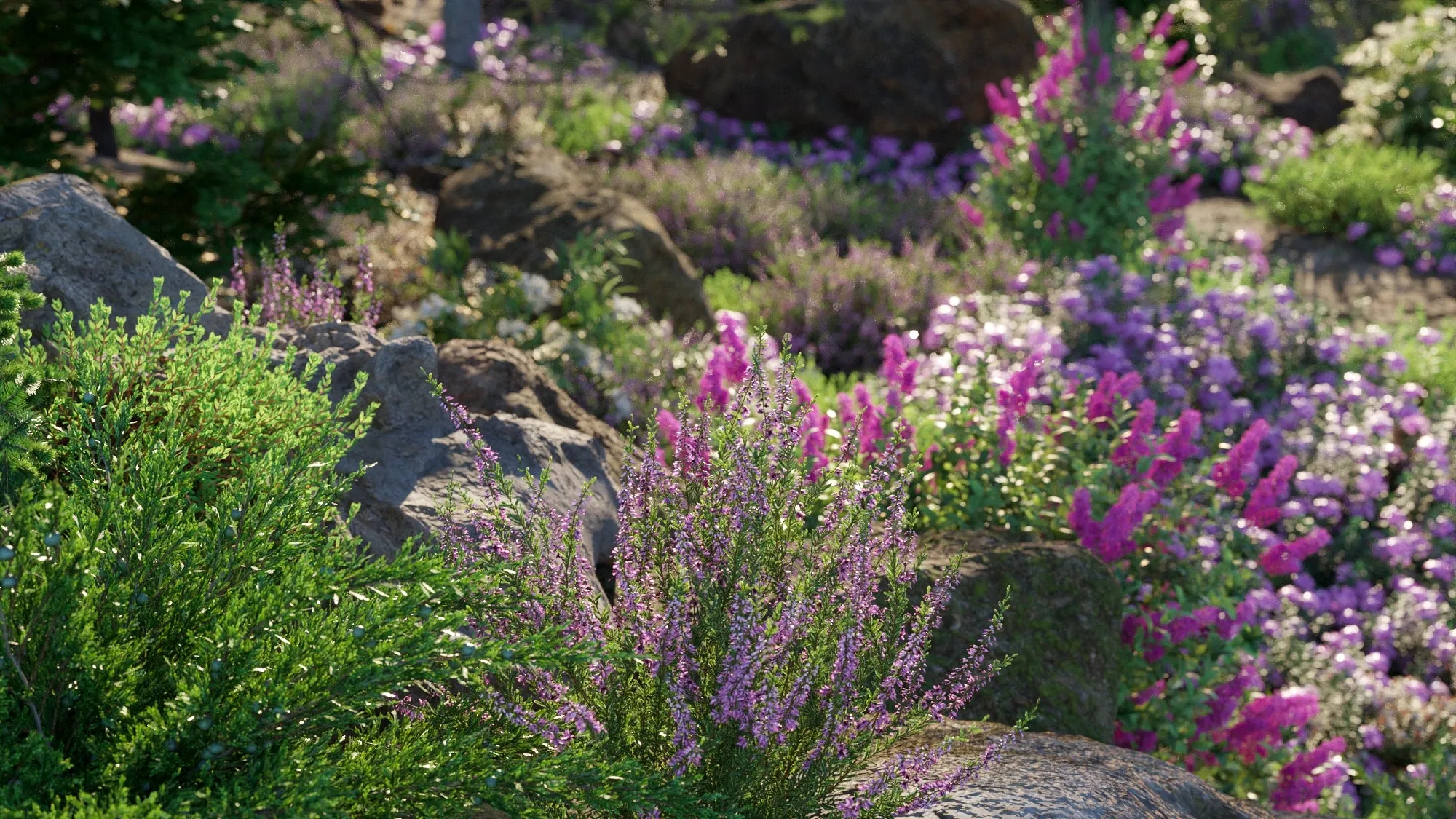 Globe Plants – Bundle 31 – Alaskan Plants