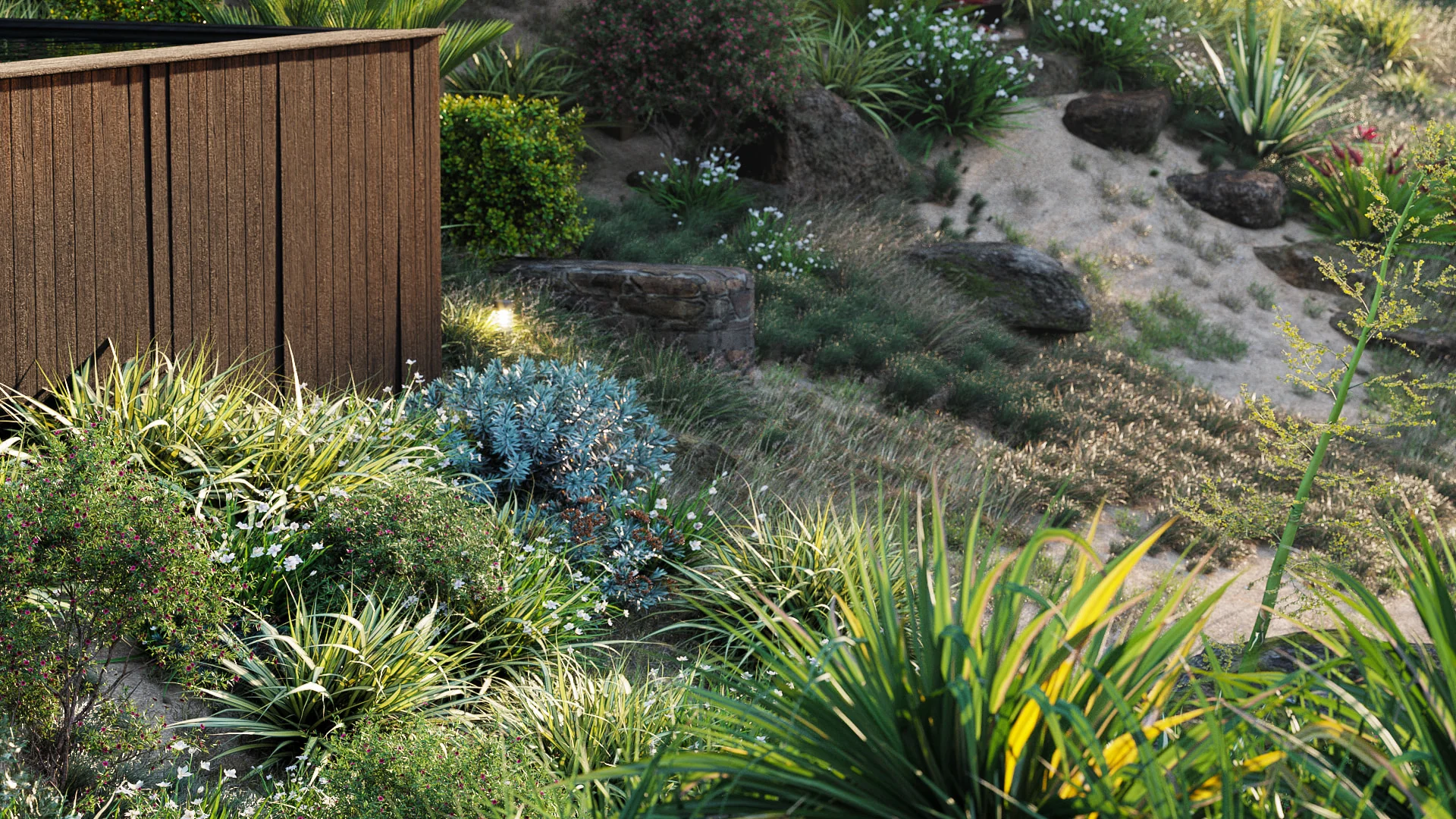 Globe Plants – Bundle 33 – New Zealand Home & Garden Plants