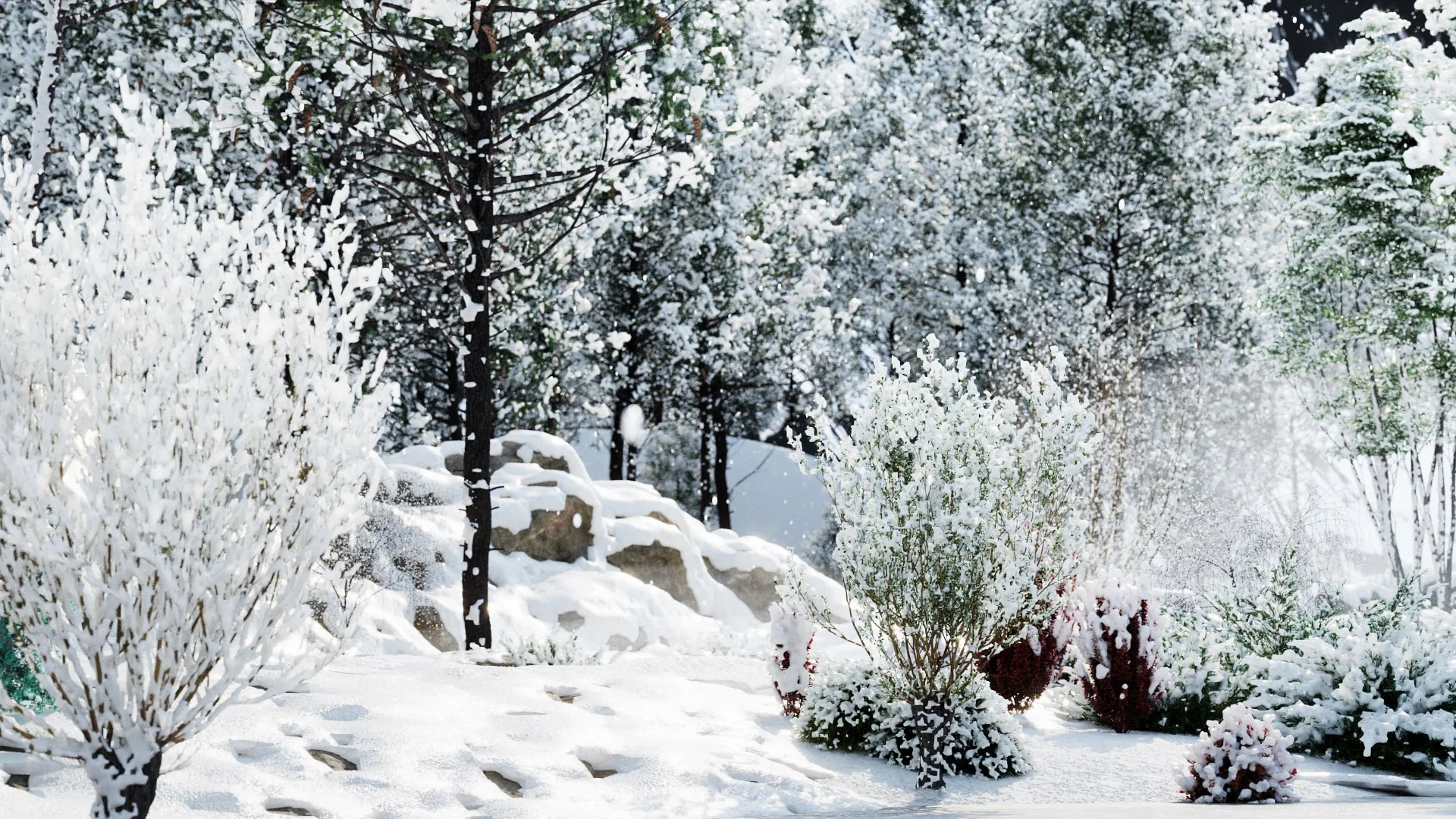 Globe Plants – Bundle 35 – Winter Plants