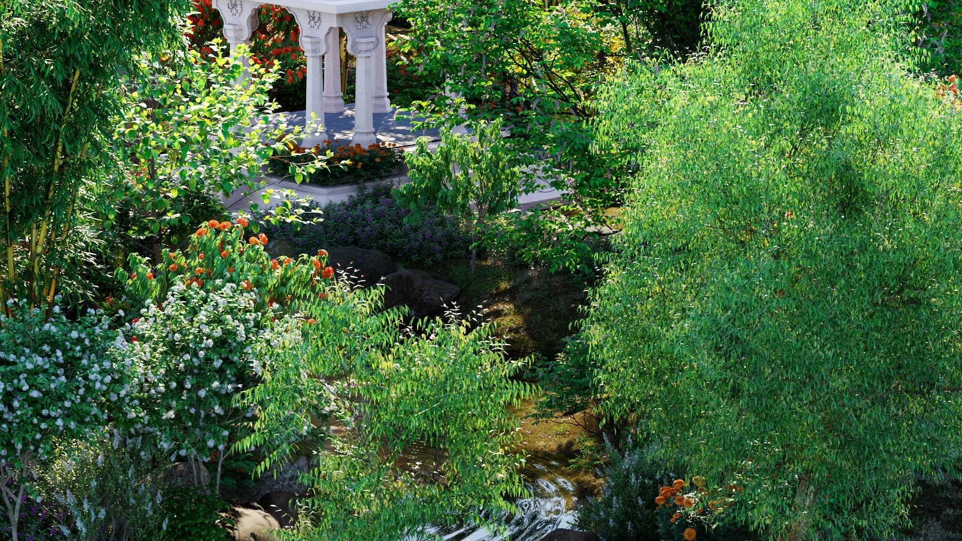 Globe Plants – Bundle 36 – Indian Plants