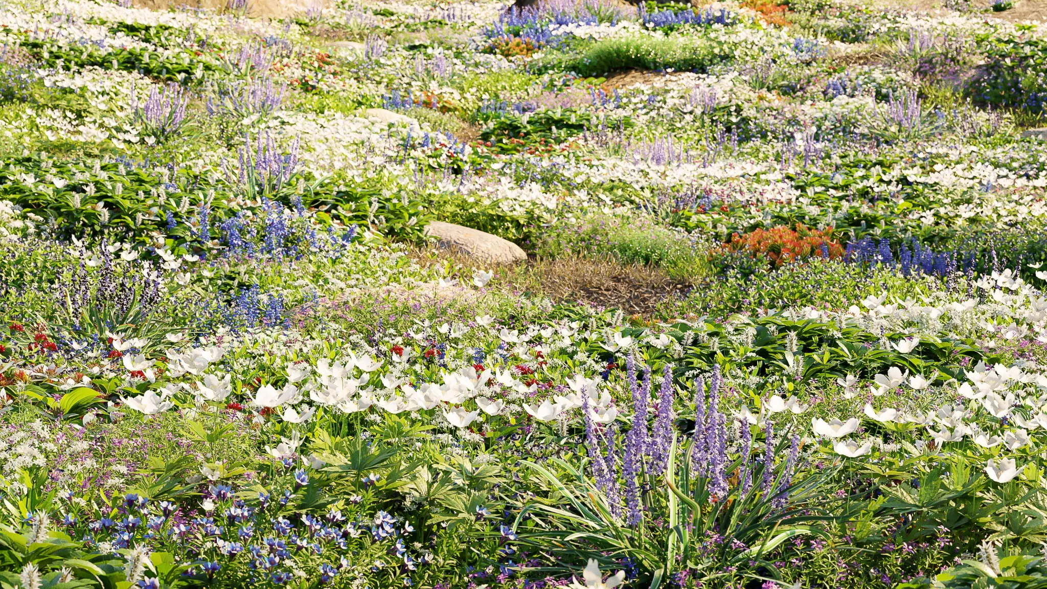 Globe Plants – Bundle 37 – Ground Cover Plants (3D Models)