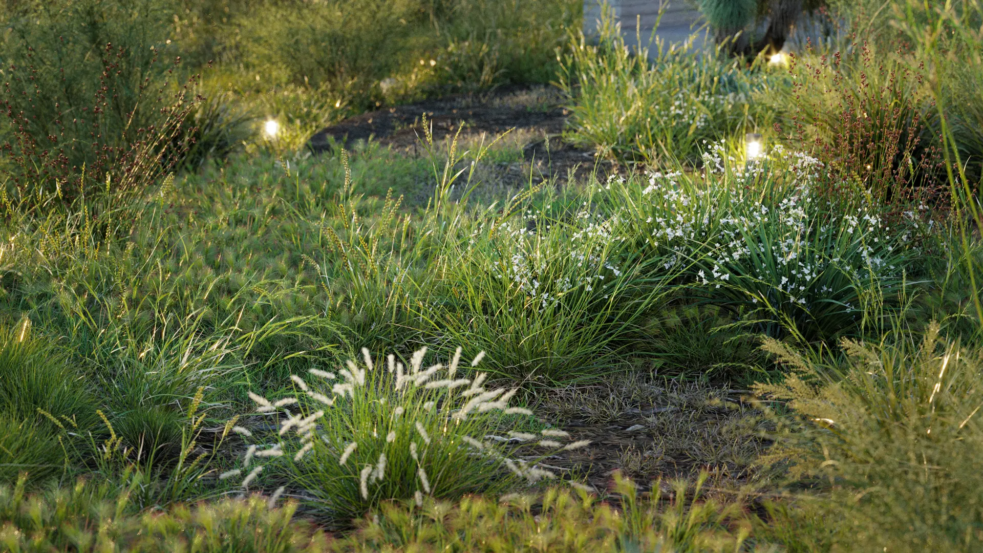 Globe Plants – Bundle 40 – Oceania Native Grasses (3D Models)