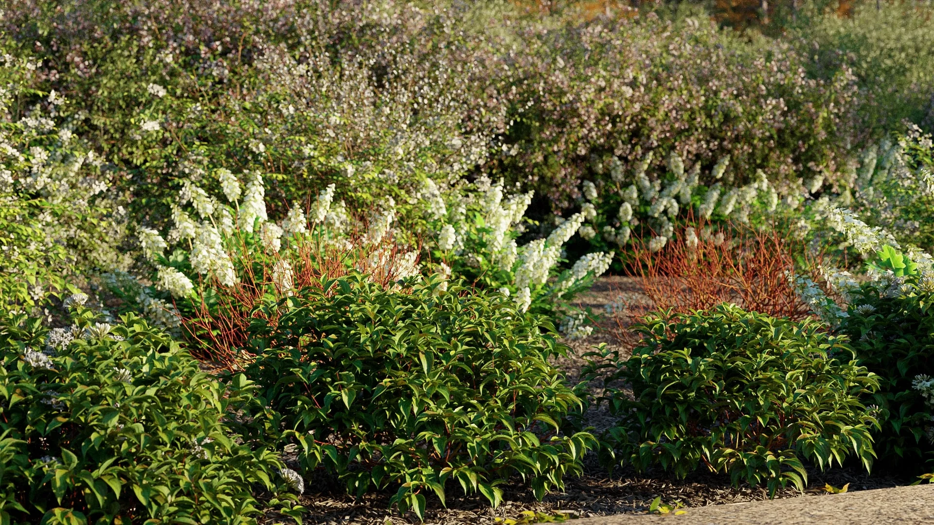 Globe Plants – Bundle 43 – Canadian Home & Garden Plants