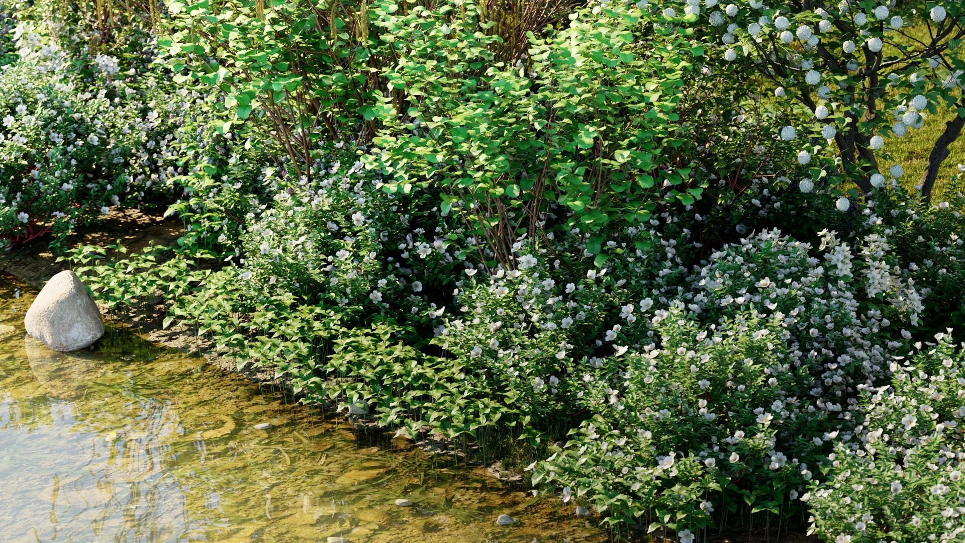 Globe Plants – Bundle 44 – Swedish Plant